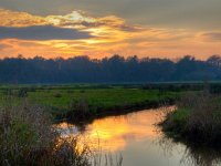 Sun is setting  Sun is setting over nature reserve in the Netherlands : Netherlands, agrarische, agricultural, agriculture, aparte, beek, beekdal, blauw, blue, boom, bossen, country, countryside, creative nature, creek, dageraad, dawn, dusk, field, flowing, geel, gras, grass, green, groen, groningen, holland, kreek, laagland, land, landbouw, landelijk, landscape, landschap, lowland, lucht, mirror, nature, natuur, nederland, orange, oranje, platteland, reflectie, reflection, river, rivier, rudmer zwerver, ruiten aa, rural, schemering, seperate, serene, sky, spiegel, stream, stroom, summer, sunrise, sunset, tree, veld, vloeiend, water, woods, yellow, zomer, zonsondergang, zonsopgang