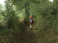 NL, Limburg, Eijsden-Margraten, Noorbeek 2, Saxifraga-Jan van der Straaten