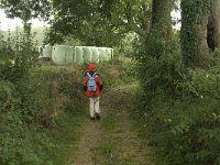 NL, Limburg, Eijsden-Margraten, Noorbeek 3, Saxifraga-Jan van der Straaten