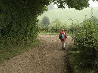 NL, Limburg, Eijsden-Margraten, Noorbeek 5, Saxifraga-Jan van der Straaten