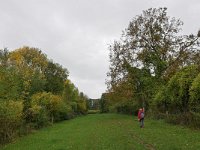 NL, Limburg, Eijsden-Margraten, W of Noorbeek 2, Saxifraga-Tom Heijnen