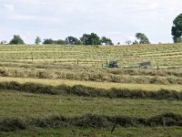 NL, Limburg, Eijsden-Margraten, near Banholt 2, Saxifraga-Tom Heijnen