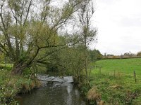 NL, Limburg, Gulpen-Wittem, Geul SE of Terpoorten 1, Saxifraga-Tom Heijnen