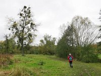 NL, Limburg, Gulpen-Wittem, Geul valley near Terpoorten 1, Saxifraga-Tom Heijnen