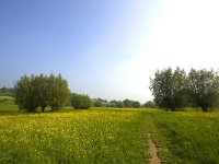 NL, Limburg, Gulpen-Wittem, Geuldal 12, Saxifraga-Bart Vastenhouw