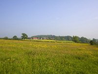 NL, Limburg, Gulpen-Wittem, Geuldal 14, Saxifraga-Bart Vastenhouw