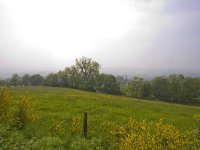 NL, Limburg, Gulpen-Wittem, Geuldal 2, Saxifraga-Bart Vastenhouw