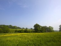 NL, Limburg, Gulpen-Wittem, Geuldal 8, Saxifraga-Bart Vastenhouw