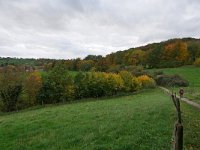 NL, Limburg, Gulpen-Wittem, NE of Slenaken 2, Saxifraga-Tom Heijnen