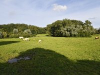 NL, Limburg, Gulpen-Wittem, Plaatweg SE of Plaat 1, Saxifraga-Tom Heijnen