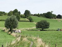 NL, Limburg, Gulpen-Wittem, near Bissen 1, Saxifraga-Tom Heijnen