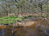 NL, Limburg, Leudal, Leubeek 5, Saxifraga-Tom Heijnen