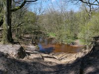 NL, Limburg, Leudal, Leubeek 8, Saxifraga-Tom Heijnen