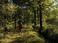 NL, Limburg, Nederweert, In den Vloed 26, Saxifraga-Jan van der Straaten