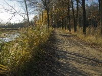 NL, Limburg, Nederweert, Laarderheide 1, Saxifraga-Jan van der Straaten