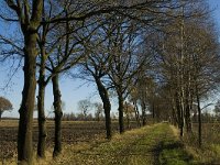 NL, Limburg, Nederweert, Middelste Hout 12, Saxifraga-Jan van der Straaten