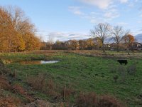 NL, Limburg, Roermond, Swalm valley 3, Saxifraga-Tom Heijnen