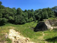 NL, Limburg, Valkenburg aan de Geul, Groeve Blom 1, Saxifraga-Bart Vastenhouw