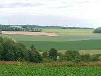 NL, Limburg, Voerendaal, near Ransdaal 1, Saxifraga-Tom Heijnen