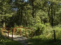 NL, Limburg, Weert, De IJzeren Man 34, Saxifraga-Marijke Verhagen