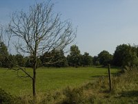 NL, Limburg, Weert, Kettingdijk 16, Saxifraga-Marijke Verhagen