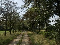 NL, Limburg, Weert, Kettingdijk 6, Saxifraga-Jan van der Straaten