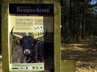 NL, Limburg, Weert, Laurabossen 11, Saxifraga-Jan van der Straaten