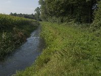 NL, Limburg, Weert, Leukerbeek 7, Saxifraga-Jan van der Straaten