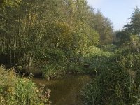 NL, Limburg, Weert, Roeventerpeel 2, Saxifraga-Jan van der Straaten