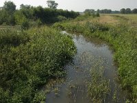 NL, Limburg, Weert, Tungelroyse beek 7, Saxifraga-Jan van der Straaten