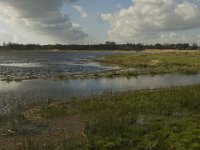 NL, Noord-Brabant, 's-Hertogenbosch, Bossche Broek 30, Saxifraga-Jan van der Straaten