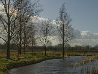 NL, Noord-Brabant, 's-Hertogenbosch, Bossche Broek 31, Saxifraga-Jan van der Straaten