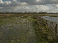 NL, Noord-Brabant, 's-Hertogenbosch, Bossche Broek 38, Saxifraga-Jan van der Straaten