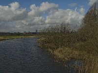 NL, Noord-Brabant, 's-Hertogenbosch, Bossche Broek 39, Saxifraga-Jan van der Straaten