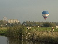 NL, Noord-Brabant, 's-Hertogenbosch, Bossche Broek 4, Saxifraga-Jan van der Straaten