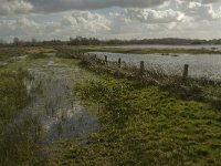 NL, Noord-Brabant, 's-Hertogenbosch, Bossche Broek 40, Saxifraga-Jan van der Straaten