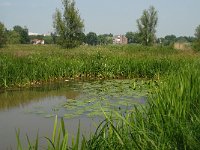 NL, Noord-Brabant, 's-Hertogenbosch, Bossche broek 10, Saxifraga-Willem van Kruijsbergen