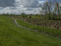 NL, Noord-Brabant, 's-Hertogenbosch, De Koornwaard 22, Saxifraga-Jan van der Straaten