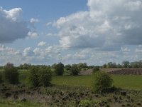 NL, Noord-Brabant, 's-Hertogenbosch, De Koornwaard 25, Saxifraga-Jan van der Straaten