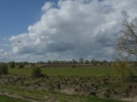 NL, Noord-Brabant, 's-Hertogenbosch, De Koornwaard 26, Saxifraga-Jan van der Straaten