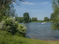 NL, Noord-Brabant, 's-Hertogenbosch, De Koornwaard 27, Saxifraga-Jan van der Straaten