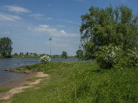 NL, Noord-Brabant, 's-Hertogenbosch, De Koornwaard 28, Saxifraga-Jan van der Straaten