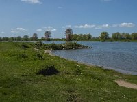 NL, Noord-Brabant, 's-Hertogenbosch, De Koornwaard 41, Saxifraga-Jan van der Straaten