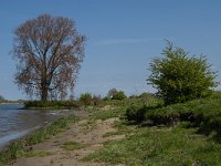 NL, Noord-Brabant, 's-Hertogenbosch, De Koornwaard 43, Saxifraga-Jan van der Straaten