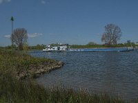 NL, Noord-Brabant, 's-Hertogenbosch, De Koornwaard 46, Saxifraga-Jan van der Straaten