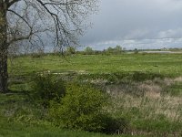 NL, Noord-Brabant, 's-Hertogenbosch, De Koornwaard 5, Saxifraga-Jan van der Straaten