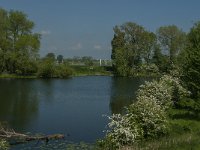 NL, Noord-Brabant, 's-Hertogenbosch, De Koornwaard 71, Saxifraga-Jan van der Straaten