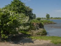 NL, Noord-Brabant, 's-Hertogenbosch, De Koornwaard 75, Saxifraga-Jan van der Straaten