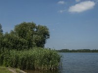 NL, Noord-Brabant, 's-Hertogenbosch, Engelermeer 4, Saxifraga-Marijke Verhagen