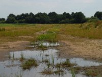 NL, Noord-Brabant, 's-Hertogenbosch, Moerputten 23, Saxifraga-Willem van Kruijsbergen